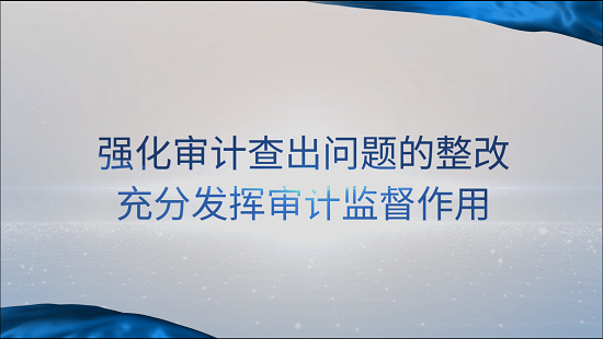 [專家談審計(jì)法]賈煥銀：強(qiáng)化審計(jì)查出問題的整改 充分發(fā)揮審計(jì)監(jiān)督作用